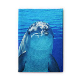 Обложка для автодокументов с принтом Дельфин в Новосибирске, натуральная кожа |  размер 19,9*13 см; внутри 4 больших “конверта” для документов и один маленький отдел — туда идеально встанут права | Тематика изображения на принте: вода | дельфин | море | отдых | отпуск | подводный мир | туризм