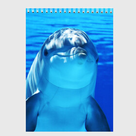 Скетчбук с принтом Дельфин в Новосибирске, 100% бумага
 | 48 листов, плотность листов — 100 г/м2, плотность картонной обложки — 250 г/м2. Листы скреплены сверху удобной пружинной спиралью | вода | дельфин | море | отдых | отпуск | подводный мир | туризм