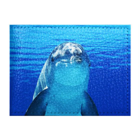 Обложка для студенческого билета с принтом Дельфин в Новосибирске, натуральная кожа | Размер: 11*8 см; Печать на всей внешней стороне | вода | дельфин | море | отдых | отпуск | подводный мир | туризм