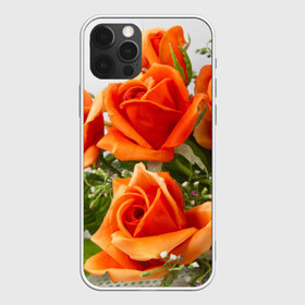 Чехол для iPhone 12 Pro Max с принтом Розы в Новосибирске, Силикон |  | бабочки | весна | краски | лето | осень | розы | цветок | цветы