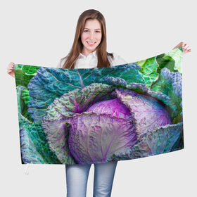 Флаг 3D с принтом Капуста в Новосибирске, 100% полиэстер | плотность ткани — 95 г/м2, размер — 67 х 109 см. Принт наносится с одной стороны | Тематика изображения на принте: дача | еда | зелень | капуста | овощи | огород | растения | цветная капуста