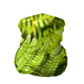 Бандана-труба 3D с принтом Папоротник в Новосибирске, 100% полиэстер, ткань с особыми свойствами — Activecool | плотность 150‒180 г/м2; хорошо тянется, но сохраняет форму | ботаника | зелень | листья | папоротник | природа | растения | цветок