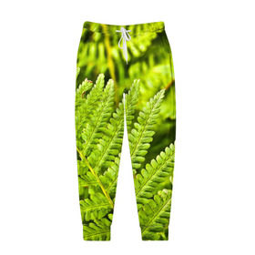 Мужские брюки 3D с принтом Папоротник в Новосибирске, 100% полиэстер | манжеты по низу, эластичный пояс регулируется шнурком, по бокам два кармана без застежек, внутренняя часть кармана из мелкой сетки | ботаника | зелень | листья | папоротник | природа | растения | цветок