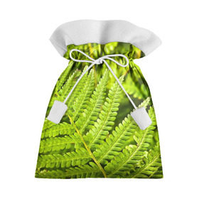 Подарочный 3D мешок с принтом Папоротник в Новосибирске, 100% полиэстер | Размер: 29*39 см | Тематика изображения на принте: ботаника | зелень | листья | папоротник | природа | растения | цветок