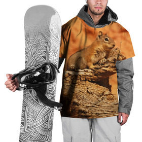 Накидка на куртку 3D с принтом Суслик в Новосибирске, 100% полиэстер |  | Тематика изображения на принте: голова животного | грызун | песок | природа | пустыня | степь | суслик
