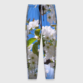 Мужские брюки 3D с принтом Вишнёвый цвет в Новосибирске, 100% полиэстер | манжеты по низу, эластичный пояс регулируется шнурком, по бокам два кармана без застежек, внутренняя часть кармана из мелкой сетки | весна | вишня | лепестки | прикольные картинки | цветение | цветы