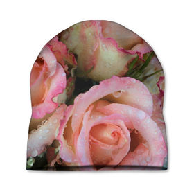 Шапка 3D с принтом Розы в Новосибирске, 100% полиэстер | универсальный размер, печать по всей поверхности изделия | букет | вода | капли | лепестки | природа | растения | розовые | розы | роса | цветок | цветы