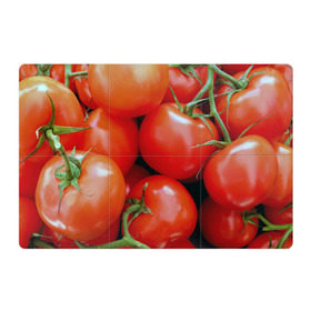 Магнитный плакат 3Х2 с принтом Томаты в Новосибирске, Полимерный материал с магнитным слоем | 6 деталей размером 9*9 см | Тематика изображения на принте: дача | еда | зелень | красный | овощи | огород | помидоры | томаты