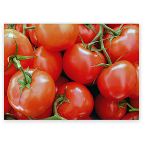 Поздравительная открытка с принтом Томаты в Новосибирске, 100% бумага | плотность бумаги 280 г/м2, матовая, на обратной стороне линовка и место для марки
 | Тематика изображения на принте: дача | еда | зелень | красный | овощи | огород | помидоры | томаты