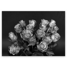 Поздравительная открытка с принтом Черно-белые розы в Новосибирске, 100% бумага | плотность бумаги 280 г/м2, матовая, на обратной стороне линовка и место для марки
 | букет | цветы