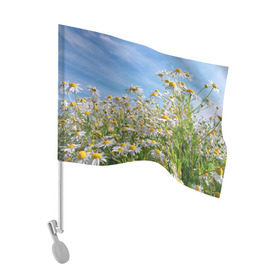 Флаг для автомобиля с принтом Ромашковый рай в Новосибирске, 100% полиэстер | Размер: 30*21 см | лепестки | небо | прикольные картинки | ромашки | солнце | цветочки | цветы