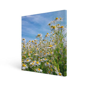 Холст квадратный с принтом Ромашковый рай в Новосибирске, 100% ПВХ |  | лепестки | небо | прикольные картинки | ромашки | солнце | цветочки | цветы