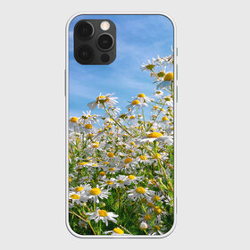 Чехол для iPhone 12 Pro Max с принтом Ромашковый рай в Новосибирске, Силикон |  | Тематика изображения на принте: лепестки | небо | прикольные картинки | ромашки | солнце | цветочки | цветы