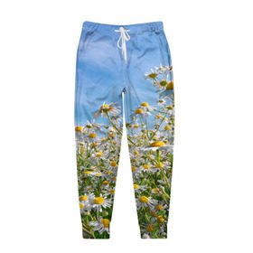 Мужские брюки 3D с принтом Ромашковый рай в Новосибирске, 100% полиэстер | манжеты по низу, эластичный пояс регулируется шнурком, по бокам два кармана без застежек, внутренняя часть кармана из мелкой сетки | лепестки | небо | прикольные картинки | ромашки | солнце | цветочки | цветы