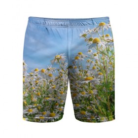 Мужские шорты 3D спортивные с принтом Ромашковый рай в Новосибирске,  |  | лепестки | небо | прикольные картинки | ромашки | солнце | цветочки | цветы