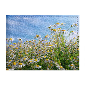 Обложка для студенческого билета с принтом Ромашковый рай в Новосибирске, натуральная кожа | Размер: 11*8 см; Печать на всей внешней стороне | лепестки | небо | прикольные картинки | ромашки | солнце | цветочки | цветы