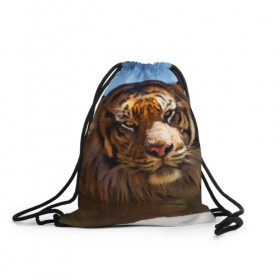 Рюкзак-мешок 3D с принтом Тигр в Новосибирске, 100% полиэстер | плотность ткани — 200 г/м2, размер — 35 х 45 см; лямки — толстые шнурки, застежка на шнуровке, без карманов и подкладки | вода | дикая кошка | природа | тигр | хищник