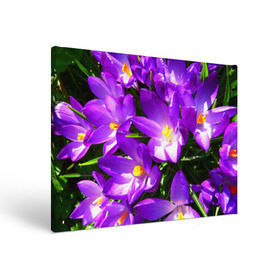 Холст прямоугольный с принтом Сиреневая прелесть в Новосибирске, 100% ПВХ |  | Тематика изображения на принте: лепестки | прикольные картинки | сиреневый | цветочки | цветы