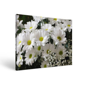 Холст прямоугольный с принтом Белоснежное цветение в Новосибирске, 100% ПВХ |  | Тематика изображения на принте: ландыши | лепестки | прикольные картинки | ромашки | цветочки | цветы