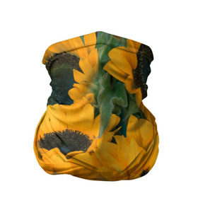 Бандана-труба 3D с принтом Подсолнухи в Новосибирске, 100% полиэстер, ткань с особыми свойствами — Activecool | плотность 150‒180 г/м2; хорошо тянется, но сохраняет форму | желтый | зеленый | лето | подсолнухи | цветы | черный