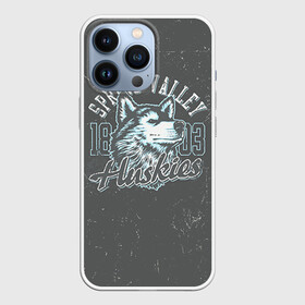 Чехол для iPhone 13 Pro с принтом Team t shirt 5 в Новосибирске,  |  | american football | baseball | fashion | football | sport | sport league | style | team | west | американский футбол | бейсбол | запад | команды | мода | надписи | спорт | спортивные лиги | стиль | футбол | футбольные лиги
