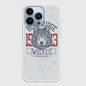 Чехол для iPhone 13 Pro с принтом Team t shirt в Новосибирске,  |  | american football | baseball | fashion | football | sport | sport league | style | team | west | американский футбол | бейсбол | запад | команды | мода | надписи | спорт | спортивные лиги | стиль | футбол | футбольные лиги