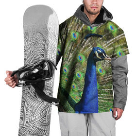 Накидка на куртку 3D с принтом Павлин в Новосибирске, 100% полиэстер |  | Тематика изображения на принте: животные | павлин | перо | перышки | природа | птица