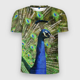 Мужская футболка 3D спортивная с принтом Павлин в Новосибирске, 100% полиэстер с улучшенными характеристиками | приталенный силуэт, круглая горловина, широкие плечи, сужается к линии бедра | Тематика изображения на принте: животные | павлин | перо | перышки | природа | птица