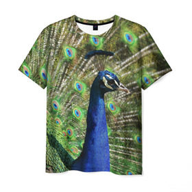 Мужская футболка 3D с принтом Павлин в Новосибирске, 100% полиэфир | прямой крой, круглый вырез горловины, длина до линии бедер | Тематика изображения на принте: животные | павлин | перо | перышки | природа | птица