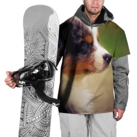 Накидка на куртку 3D с принтом Aussi в Новосибирске, 100% полиэстер |  | Тематика изображения на принте: австралийская овчарка | животные | пёс | собака | щенок