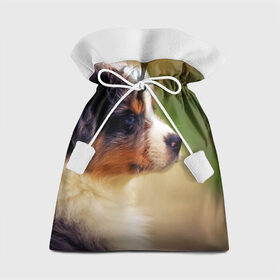 Подарочный 3D мешок с принтом Aussi в Новосибирске, 100% полиэстер | Размер: 29*39 см | Тематика изображения на принте: австралийская овчарка | животные | пёс | собака | щенок