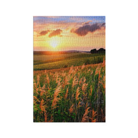 Обложка для паспорта матовая кожа с принтом Родные просторы в Новосибирске, натуральная матовая кожа | размер 19,3 х 13,7 см; прозрачные пластиковые крепления | Тематика изображения на принте: sunrise | sunset | восход | деревня | закат | луг | небо | облака | поле | природа | солнце | цветы