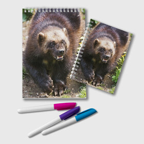 Блокнот с принтом Росомаха в Новосибирске, 100% бумага | 48 листов, плотность листов — 60 г/м2, плотность картонной обложки — 250 г/м2. Листы скреплены удобной пружинной спиралью. Цвет линий — светло-серый
 | животные | лес | медведи | охота | природа | туризм