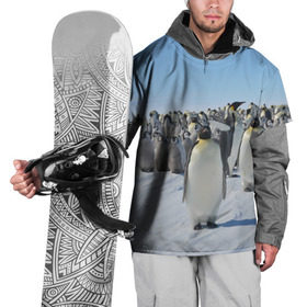 Накидка на куртку 3D с принтом Пингвины в Новосибирске, 100% полиэстер |  | пингвин