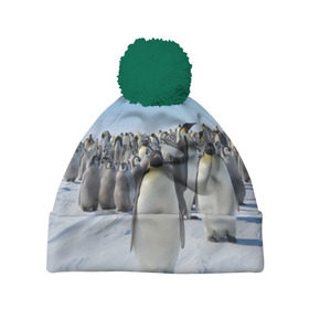 Шапка 3D c помпоном с принтом Пингвины в Новосибирске, 100% полиэстер | универсальный размер, печать по всей поверхности изделия | пингвин