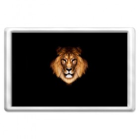 Магнит 45*70 с принтом Лев в Новосибирске, Пластик | Размер: 78*52 мм; Размер печати: 70*45 | lion | голова | лев
