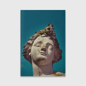 Обложка для паспорта матовая кожа с принтом Статуя в Новосибирске, натуральная матовая кожа | размер 19,3 х 13,7 см; прозрачные пластиковые крепления | греция | искусство | мрамор | рим | скульптура | статуя
