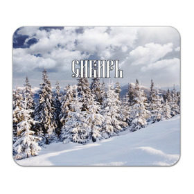 Коврик прямоугольный с принтом Сибирь в Новосибирске, натуральный каучук | размер 230 х 185 мм; запечатка лицевой стороны | ель | лес | небо | облака | природа | снег | сосна | сугробы | тайга | хвоя