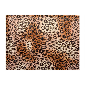 Обложка для студенческого билета с принтом Леопардовая шкура в Новосибирске, натуральная кожа | Размер: 11*8 см; Печать на всей внешней стороне | Тематика изображения на принте: гепард | гламур | леопард | мода | роскошь | шерсть