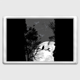 Магнит 45*70 с принтом Черный ворон в Новосибирске, Пластик | Размер: 78*52 мм; Размер печати: 70*45 | ворон | луна | новинки | ночь | полнолуние | природа | птица