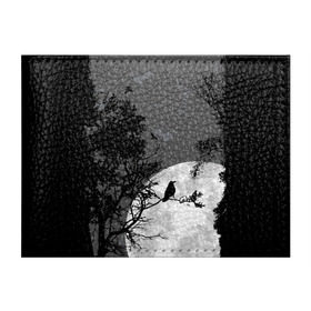 Обложка для студенческого билета с принтом Черный ворон в Новосибирске, натуральная кожа | Размер: 11*8 см; Печать на всей внешней стороне | Тематика изображения на принте: ворон | луна | новинки | ночь | полнолуние | природа | птица