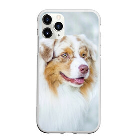 Чехол для iPhone 11 Pro Max матовый с принтом Австралийская овчарка в Новосибирске, Силикон |  | Тематика изображения на принте: австралийская овчарка | животные | природа | собака | щенок
