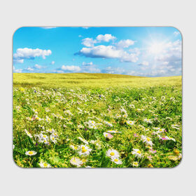 Коврик прямоугольный с принтом Ромашковый ковёр в Новосибирске, натуральный каучук | размер 230 х 185 мм; запечатка лицевой стороны | горизонт | зелень | небо | облака | поле | поляна | ромашки | солнце | цветы