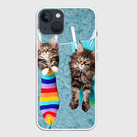 Чехол для iPhone 13 с принтом Мейн кун 1 в Новосибирске,  |  | кот | котенок | котик | котэ | кошка | мейн кун | мейнкун | мэйн кун | мэйнкун
