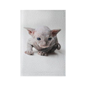Обложка для паспорта матовая кожа с принтом Сфинкс 1 в Новосибирске, натуральная матовая кожа | размер 19,3 х 13,7 см; прозрачные пластиковые крепления | кот | котенок | котик | котэ | кошка | сфинкс