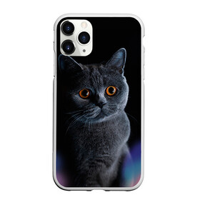 Чехол для iPhone 11 Pro матовый с принтом Британец 1 в Новосибирске, Силикон |  | британец | британская | британцы | кот | котенок | котик | котэ | кошка