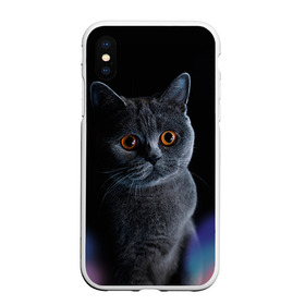 Чехол для iPhone XS Max матовый с принтом Британец 1 в Новосибирске, Силикон | Область печати: задняя сторона чехла, без боковых панелей | Тематика изображения на принте: британец | британская | британцы | кот | котенок | котик | котэ | кошка