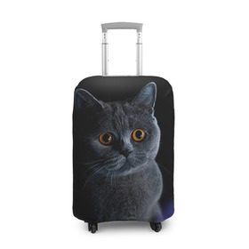 Чехол для чемодана 3D с принтом Британец 1 в Новосибирске, 86% полиэфир, 14% спандекс | двустороннее нанесение принта, прорези для ручек и колес | Тематика изображения на принте: британец | британская | британцы | кот | котенок | котик | котэ | кошка