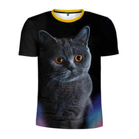 Мужская футболка 3D спортивная с принтом Британец 1 в Новосибирске, 100% полиэстер с улучшенными характеристиками | приталенный силуэт, круглая горловина, широкие плечи, сужается к линии бедра | Тематика изображения на принте: британец | британская | британцы | кот | котенок | котик | котэ | кошка