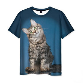 Мужская футболка 3D с принтом Мейн-кун 2 в Новосибирске, 100% полиэфир | прямой крой, круглый вырез горловины, длина до линии бедер | Тематика изображения на принте: кот | котенок | котик | котэ | кошка | мейн кун | мейнкун | мэйн кун | мэйнкун
